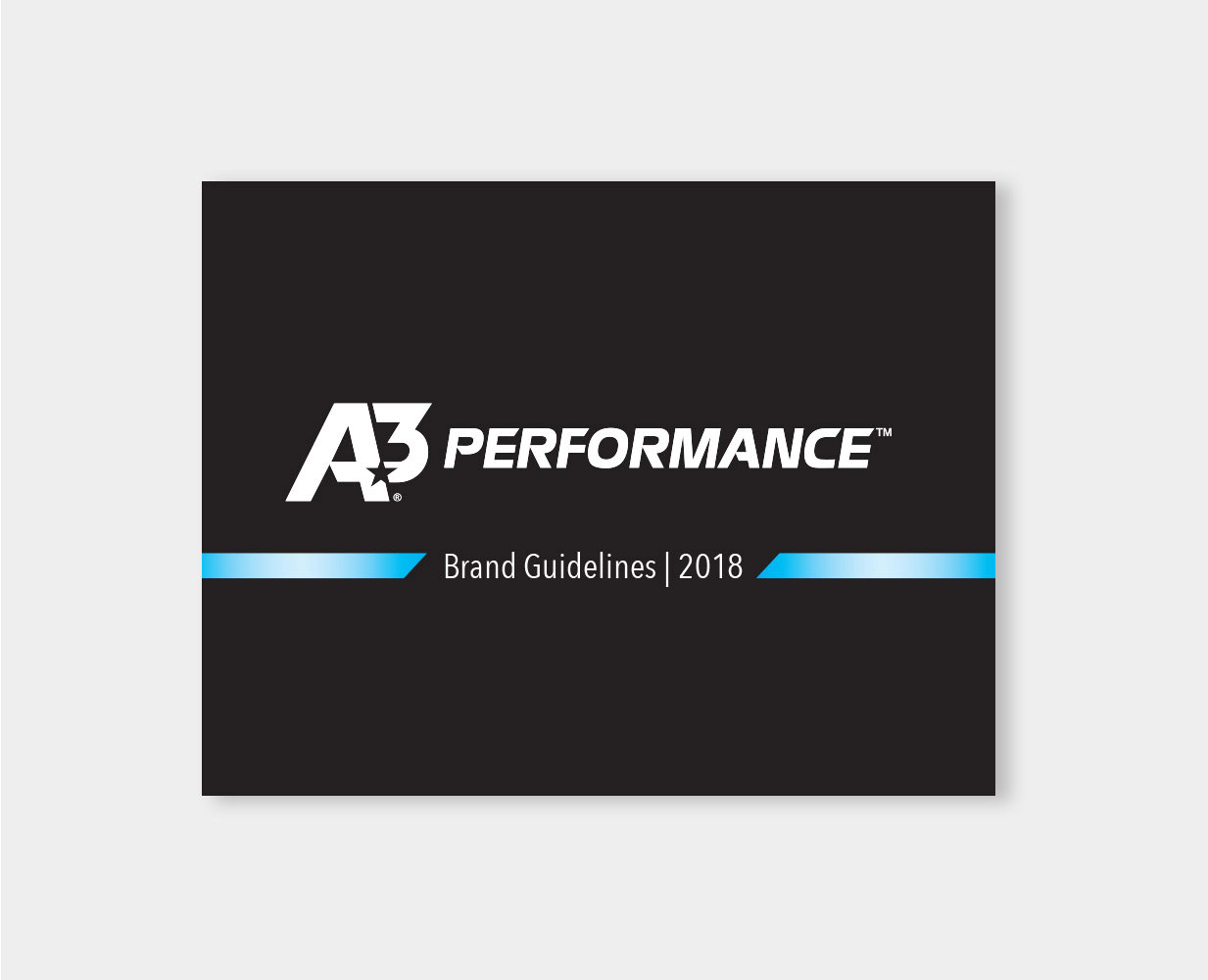 A3 Performance Brand Guidelines